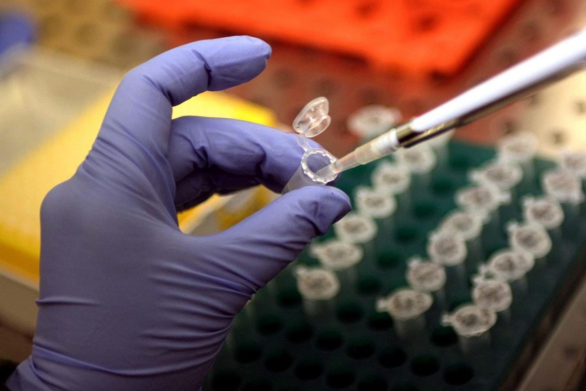 cellule_dna_fg.jpg