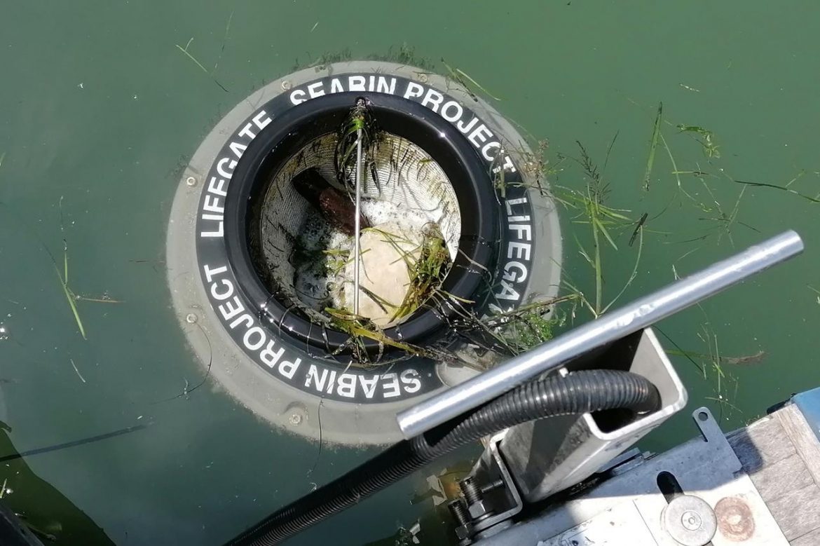 seabin_venezia1_us.jpg