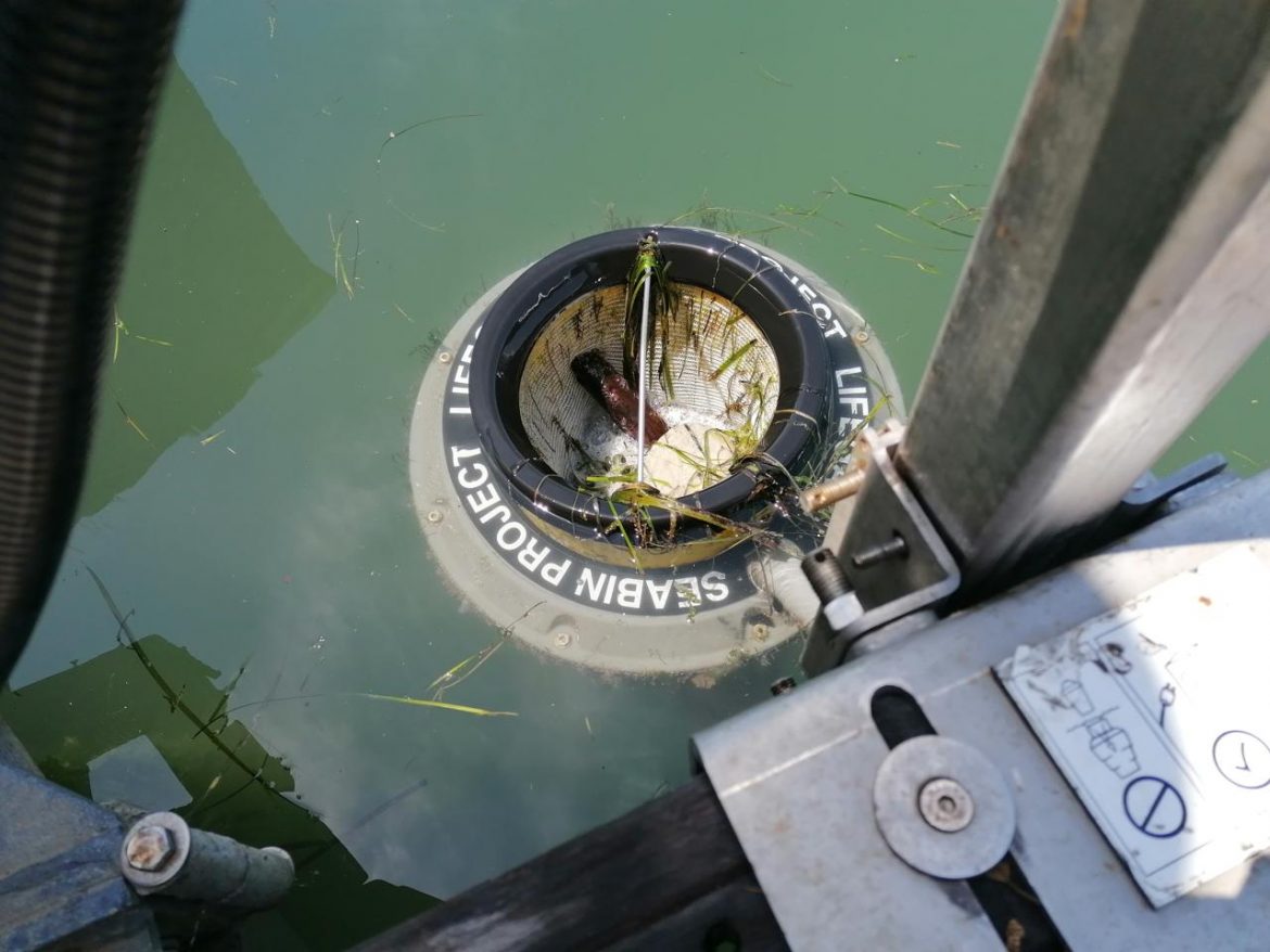 seabin_venezia_us.jpg