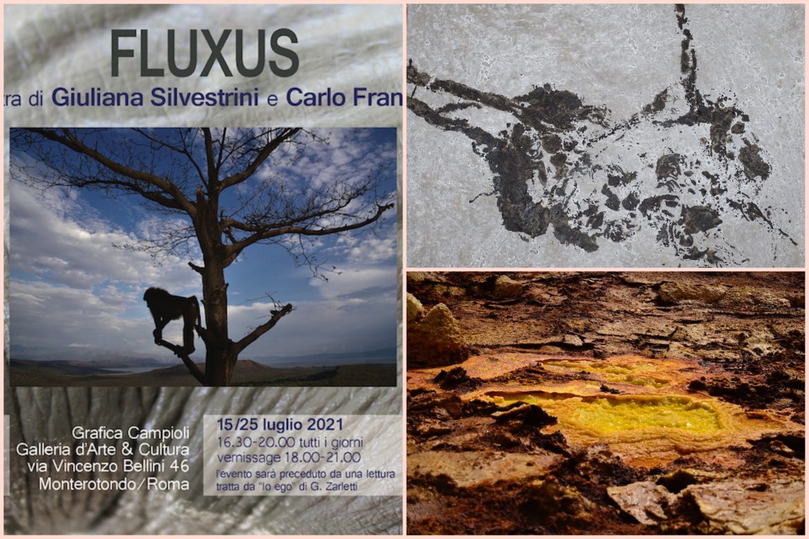 B03E46CF-3A36-4402-AC6F-07F594767868