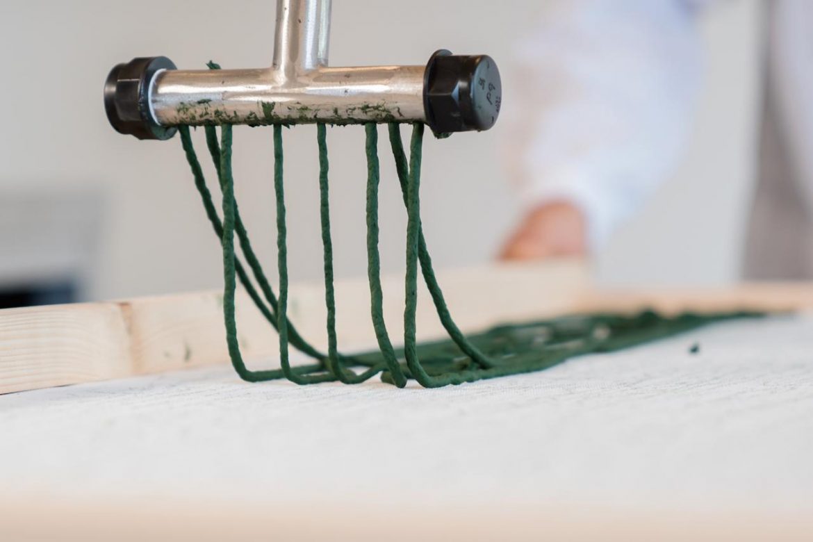 spaghetti_spirulina_us.jpg