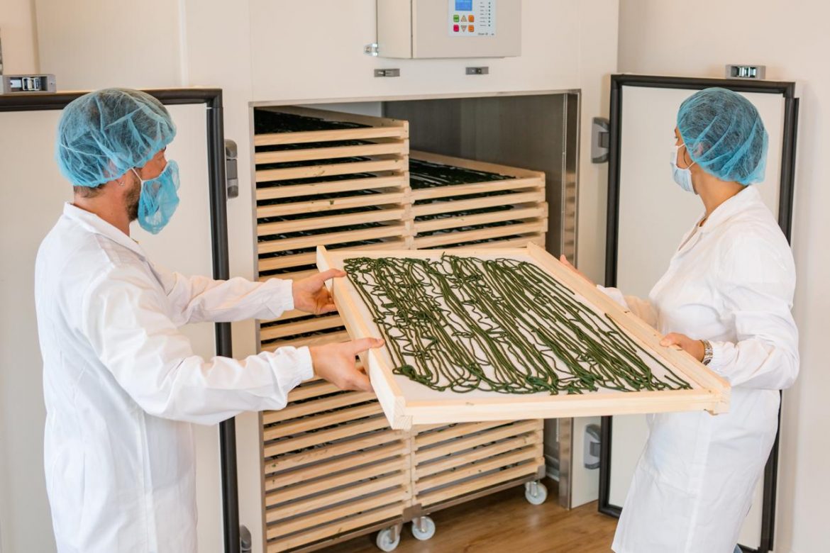 spirulina_andriani_us.jpg