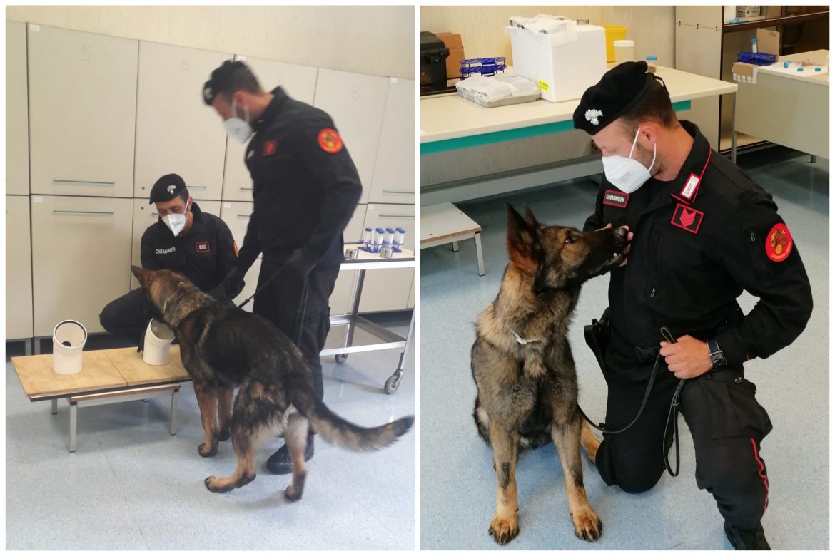 161CB82A-8B69-49A0-ABAF-1CDEE4A20A81