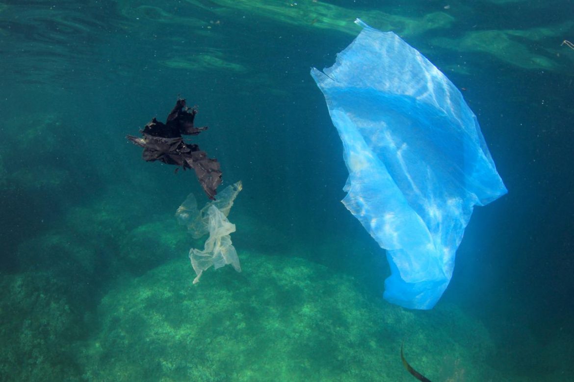 buste_plastica_mare_ftlia.jpg