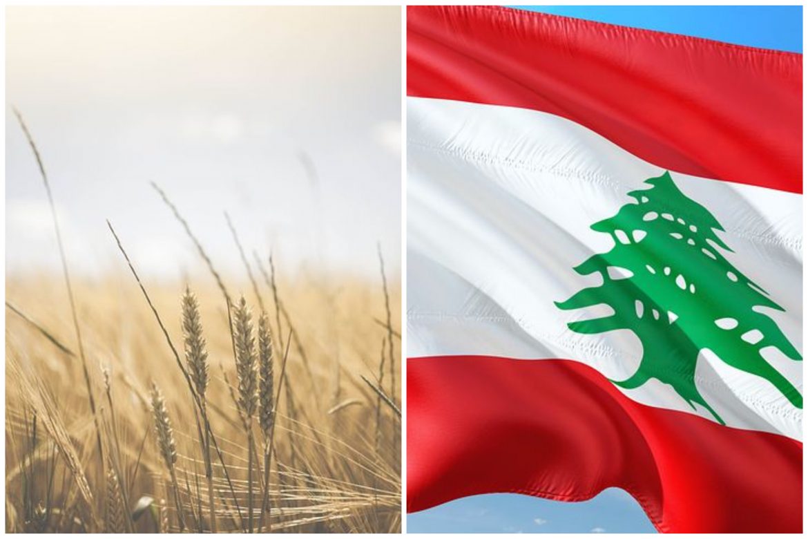 C60F1BED-982E-4569-9BD8-71FB5480B21A