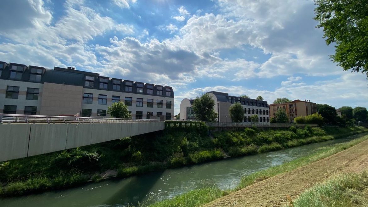 Universita_Studi_Verona_Vicenza_us.jpeg
