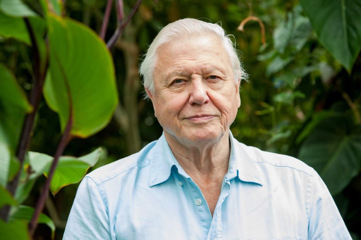 david-attenborough.jpg
