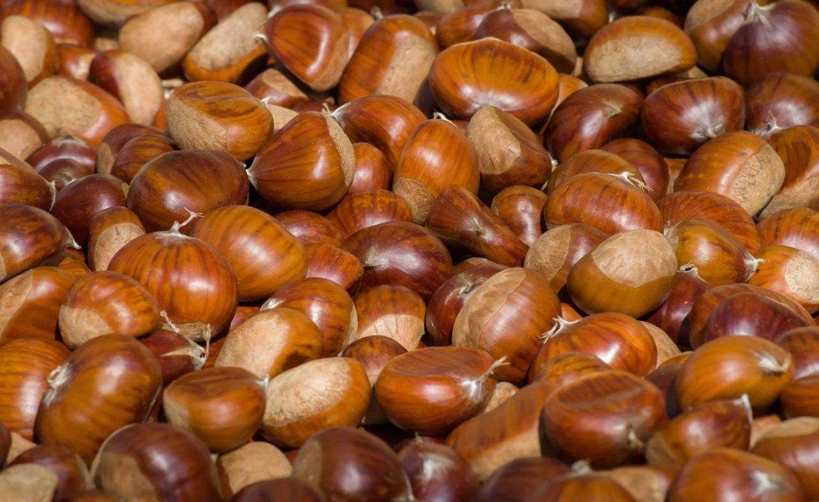 chestnuts-3727959_1920.jpg