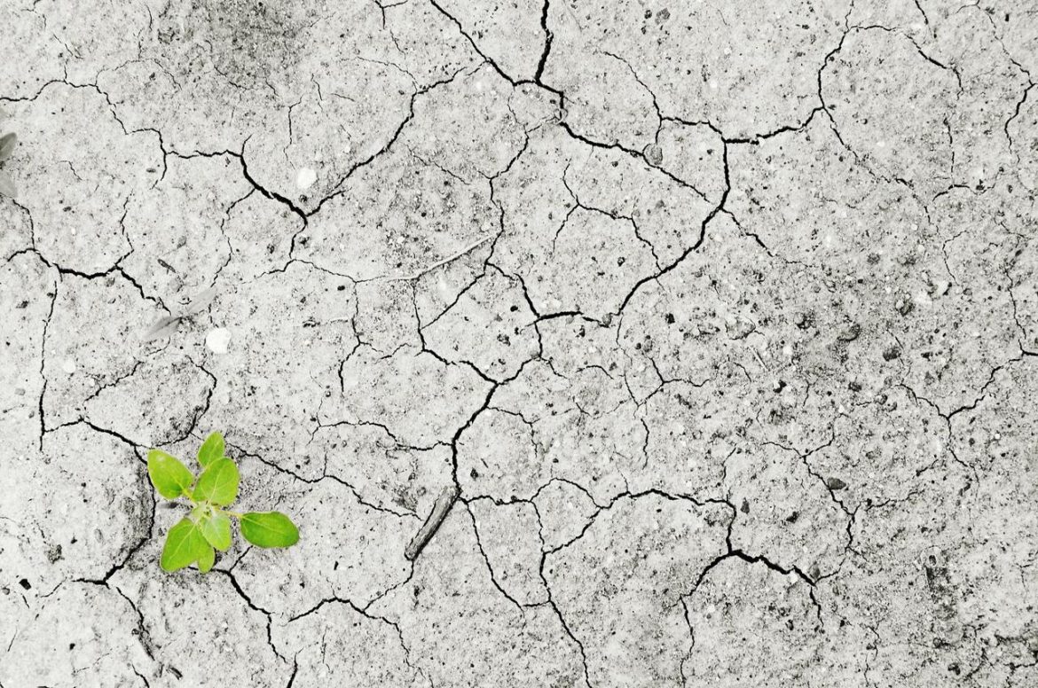 climate-change-1325882_1920.jpg