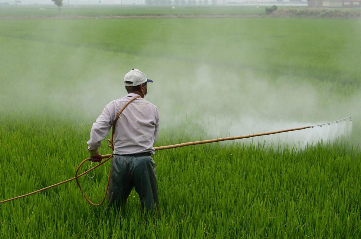 herbicide-587589_1920.jpg