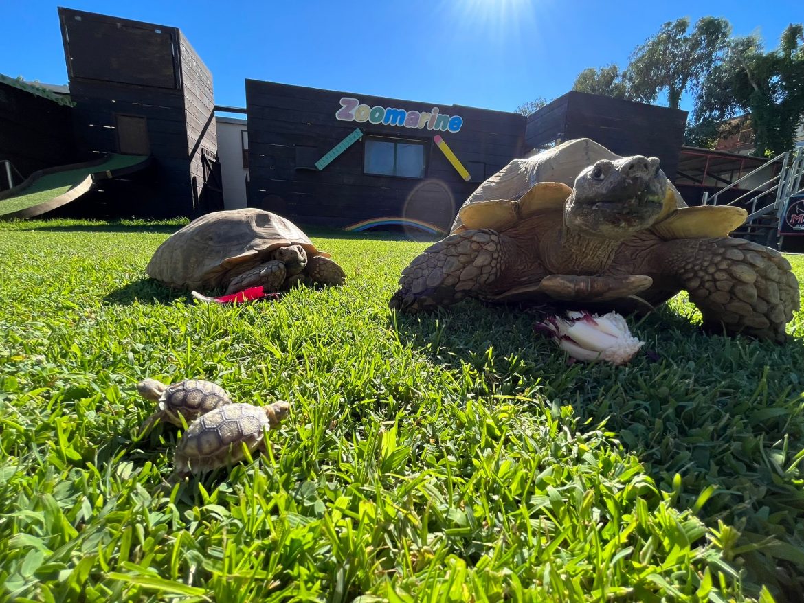 42B53F0D-B0B5-4E4B-AAF1-BF016B78D3CE