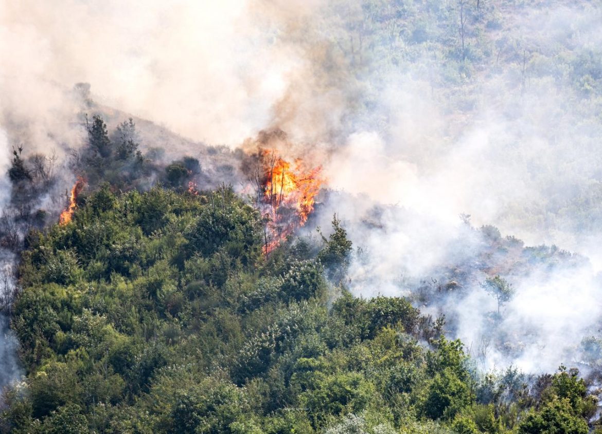 incendio-a-Monte-Stella-Salerlo-Foto-di-Angelo-Concilio-.jpg