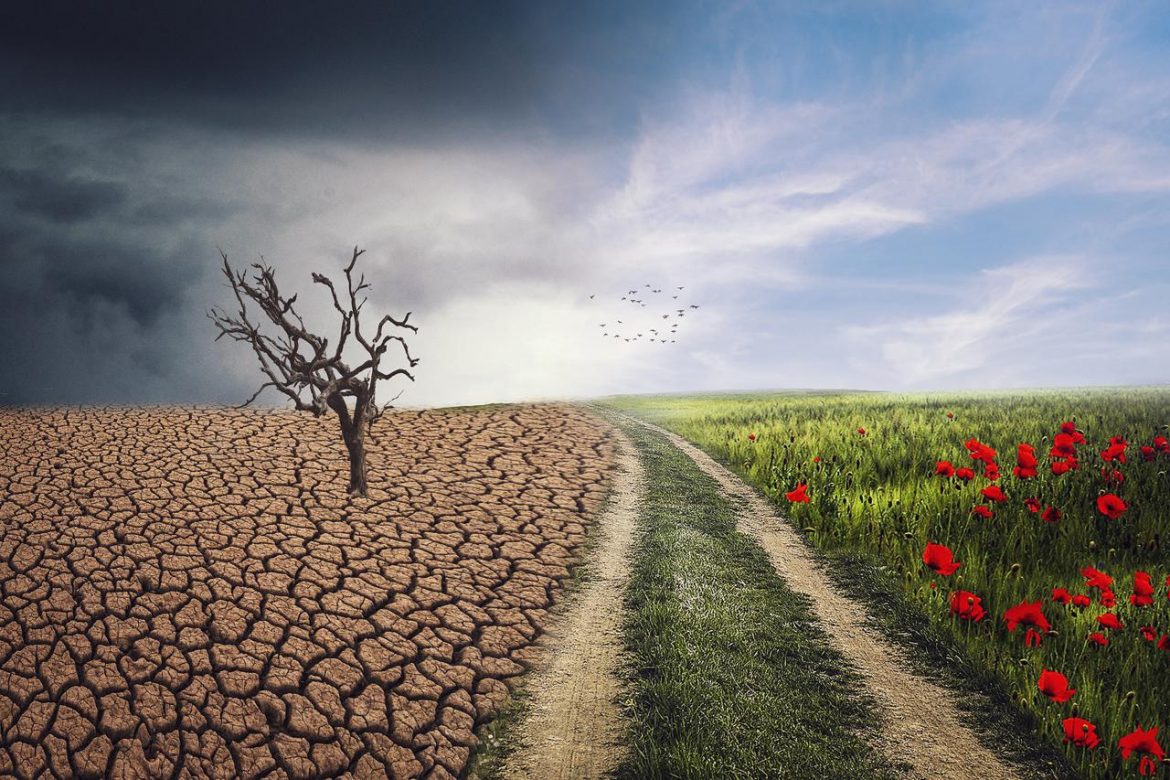 pxclimateaction-4684217_1920.jpg