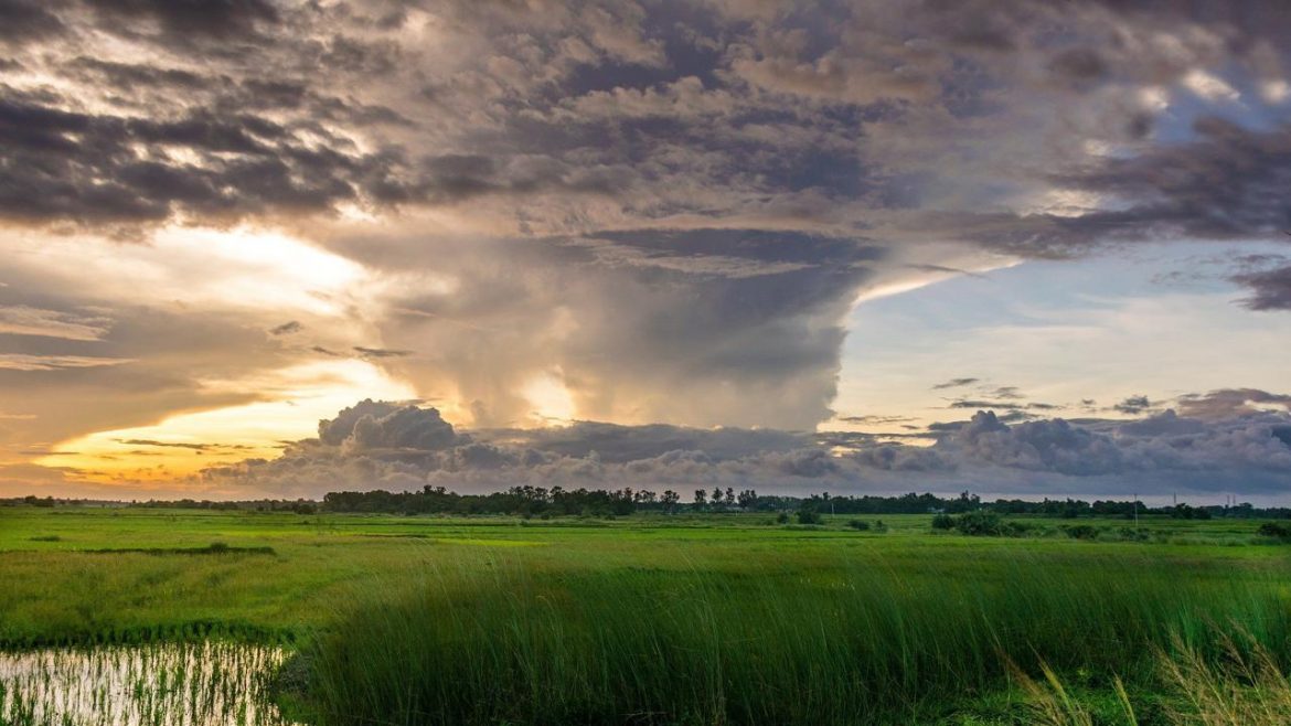 field-1571717_1920.jpg