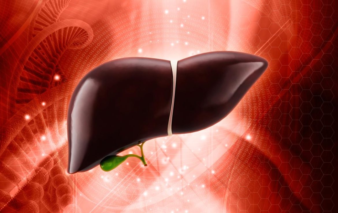 fegato2_fotolia_3-2-1297750563.jpg