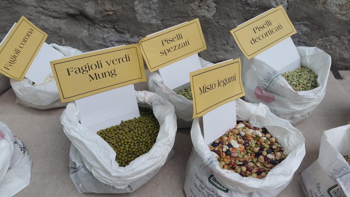 legumes-g1b80018de_1920.jpg