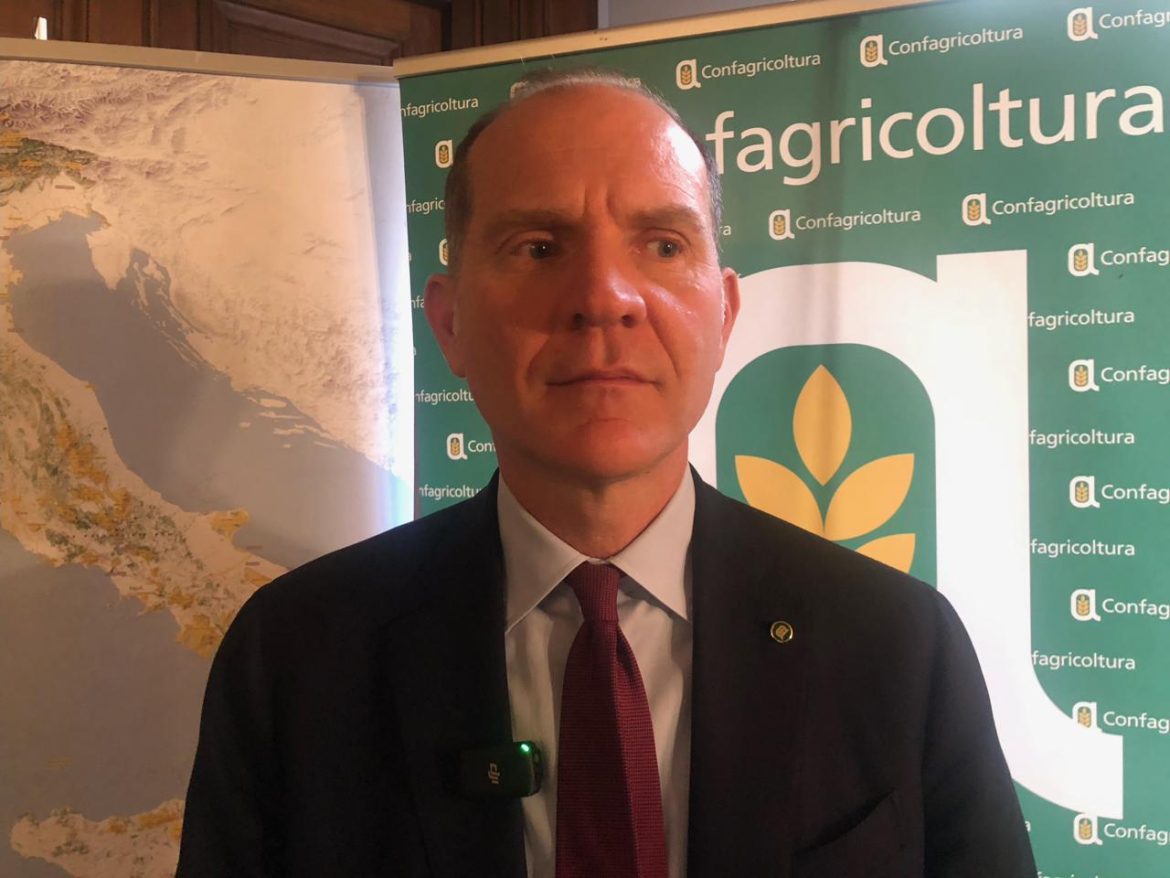 MASSIMILIANO_GIANSANTI_CONFAGRICOLTURA.jpeg