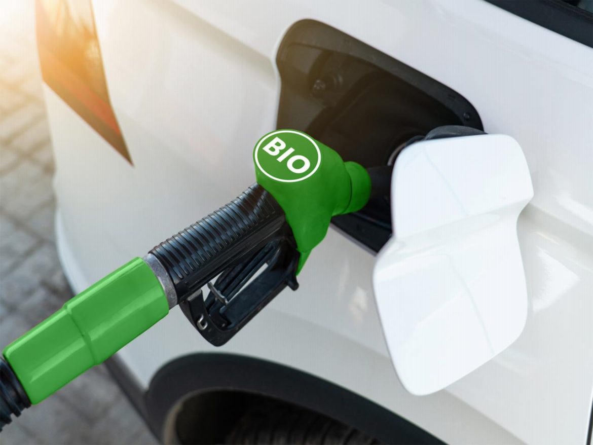 biodiesel_free.png