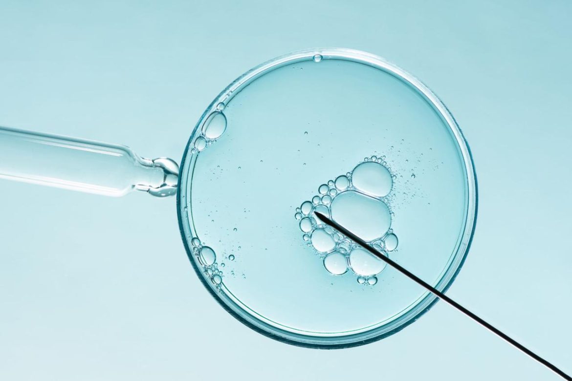 fecondazione_assistita_canvafree.jpg