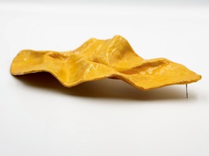 911BCA7D-FF15-4474-968C-BFC3A84109AF