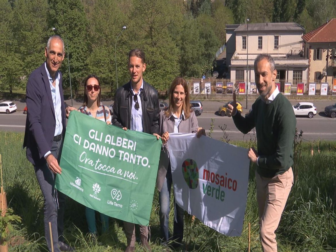 arca_torino.jpg