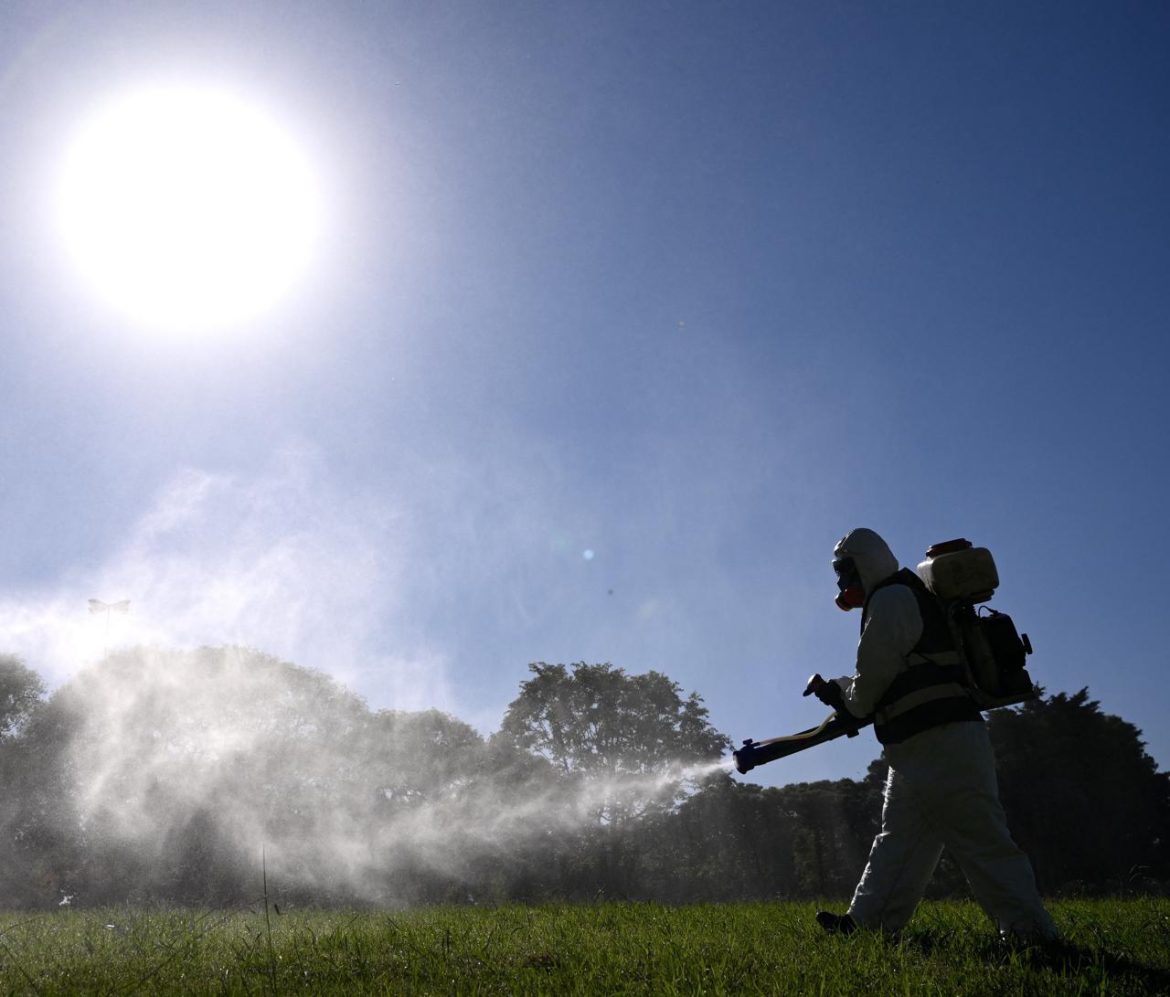 disinfestazione_dengue_afp.jpg