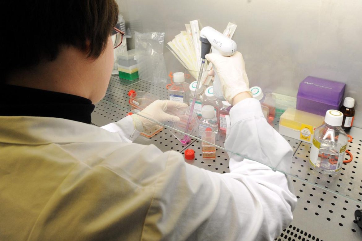 ricercatrice_scienza_ftg_3-4-428373272_1-0-3875823085.jpg