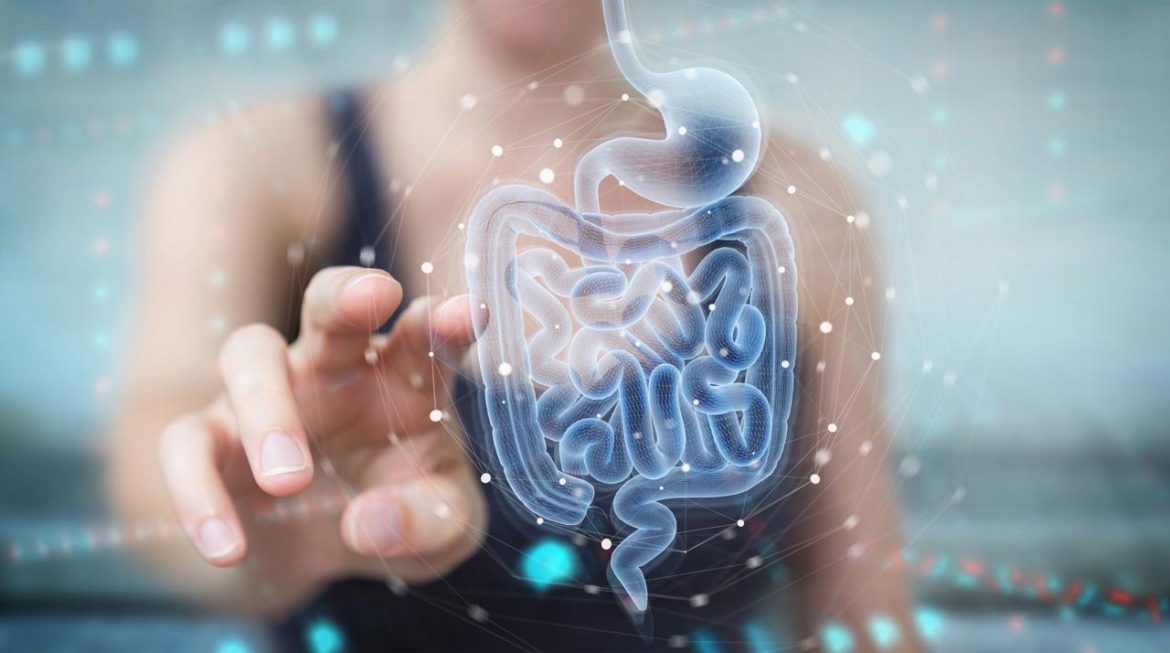 microbiota_free.jpeg