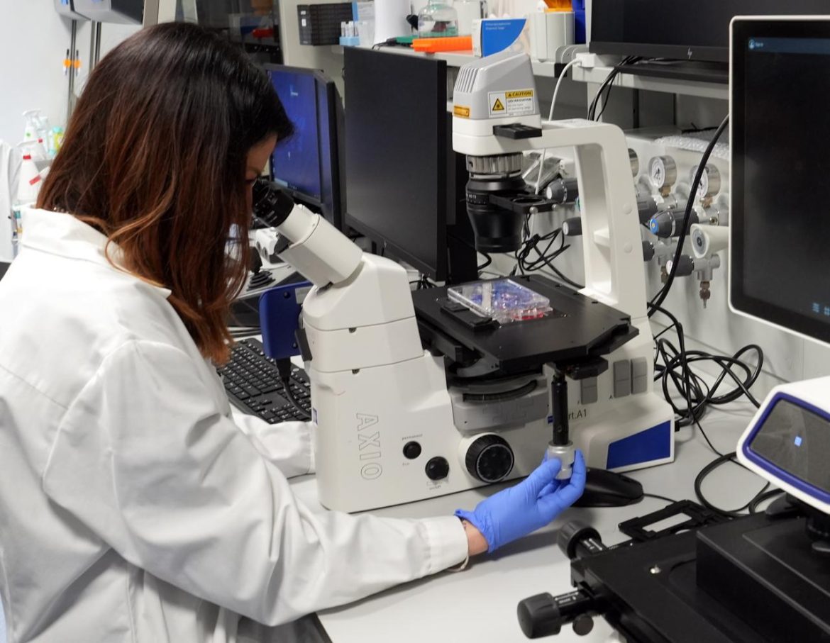 ricercatrice_laboratorio_ipa_fg.jpg