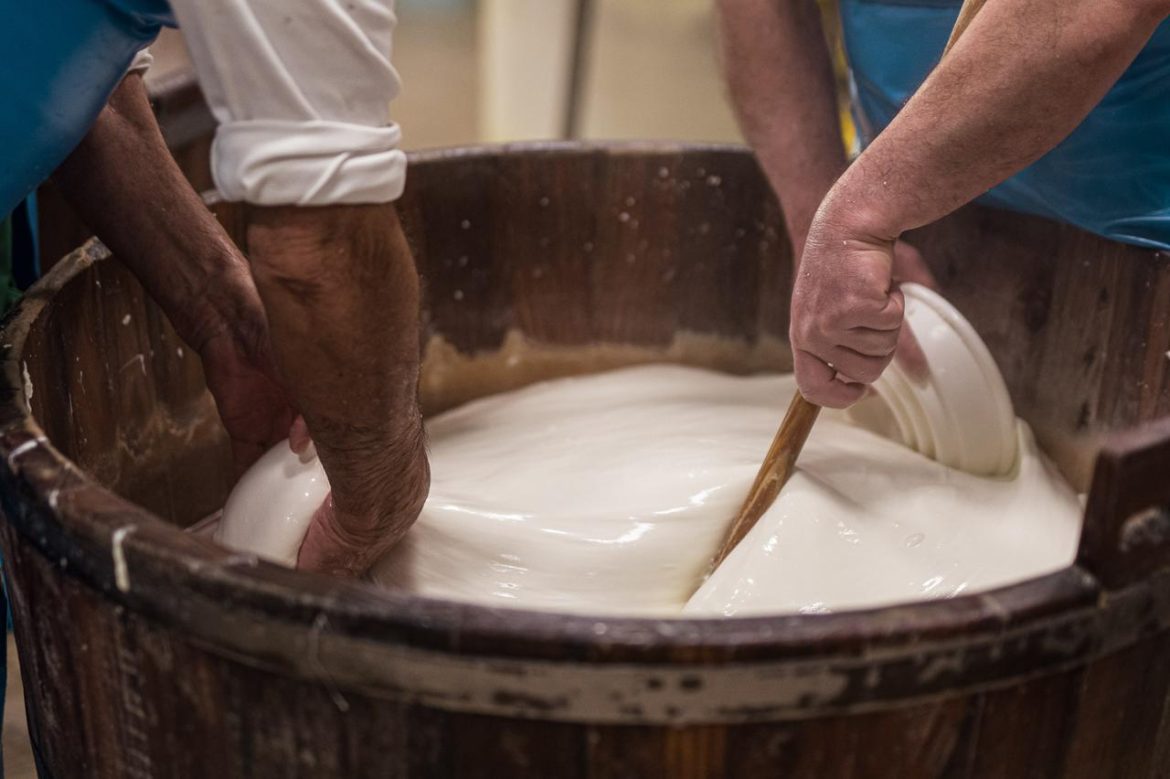 mozzarella_produzione.jpg