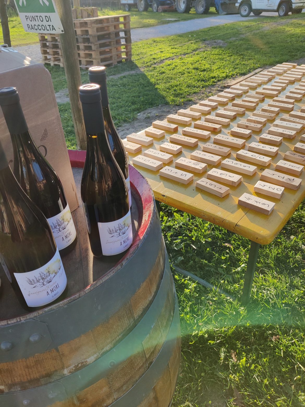 2. Parliamo di vino