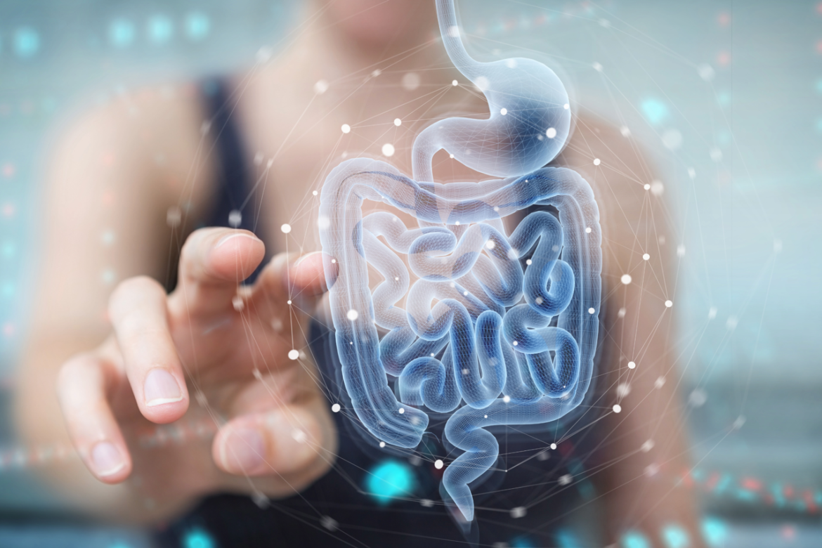intestino__adobe_free.png