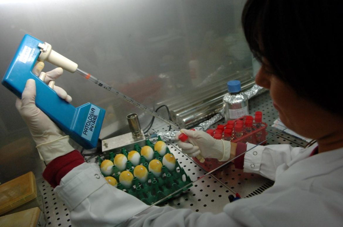 ricercatori_laboratorio_afp.jpg