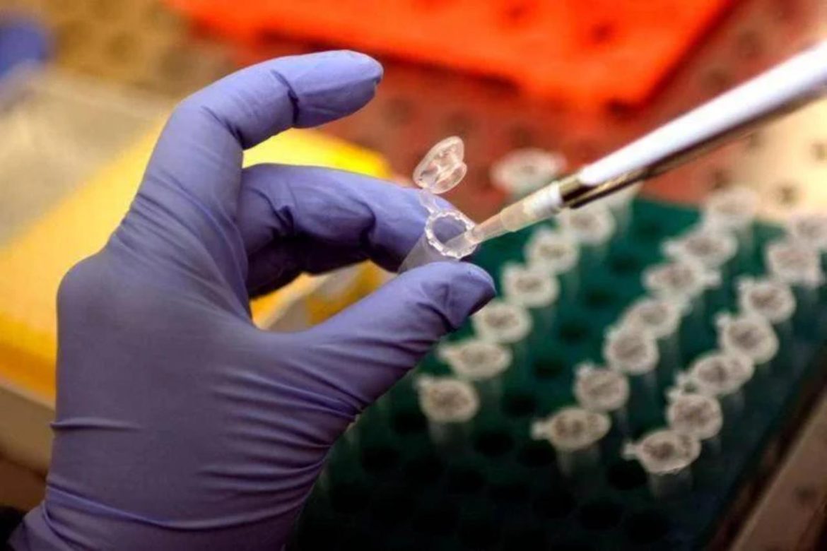 laboratorio_manoguanti_fg_rit.jpg
